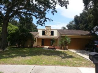 1570 Brae Moor Ln, Dunedin, FL 34698-3211