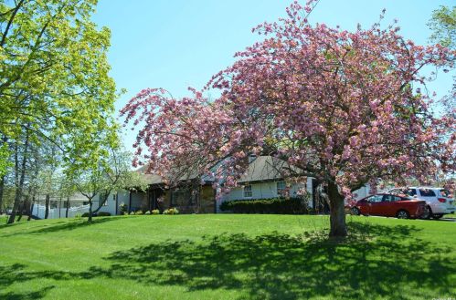 16 Chevy Dr, South Setauket, NY 11720-1433