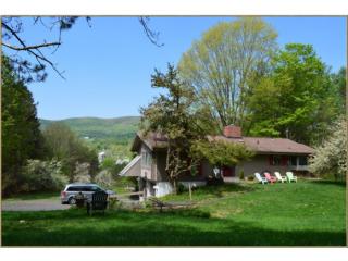 6022 Vt Route 30, Pawlet, VT 05761-9807