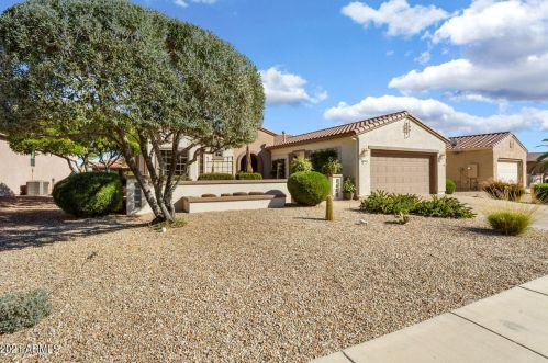 16930 Marcos De Niza Dr, Sun City, AZ 85387-7201
