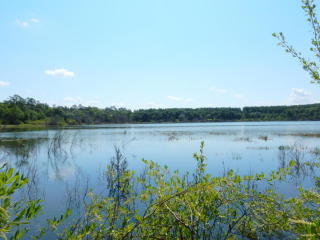 3997 Stewart Lake Rd, Sunny Hills, FL 32428-7319