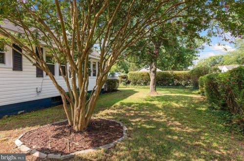 319 Third St, Fredericksburg VA  22408-2321 exterior