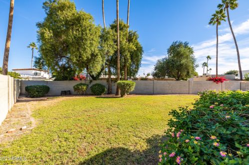 4937 77 Pl, Scottsdale AZ 85258-1151 exterior