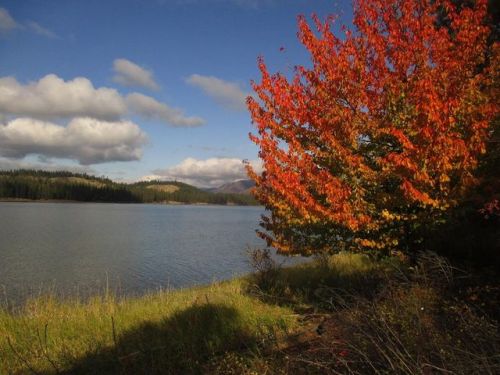 3815 Highway 25, Gifford, WA 99131-9710