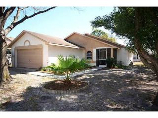 1744 Kettler Dr, Lutz, FL 33559-3379