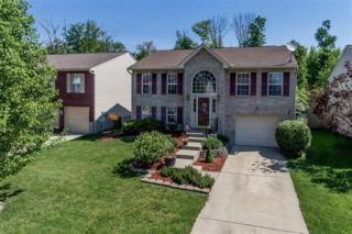 3816 Sugarberry Dr, Taylorsport, KY 41048-8129