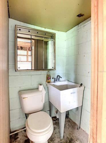 396 Collins St, Umatilla FL  32784-8387 exterior