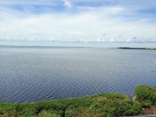 335 Mariner Dr, Tarpon Springs FL  34689-5842 exterior