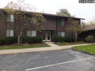 7465 Millrace Ln, Macedonia, OH 44067-3317