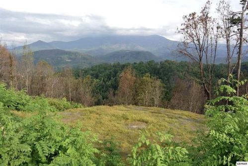 880 Chalet Village Blvd, Gatlinburg, TN 37738-4408