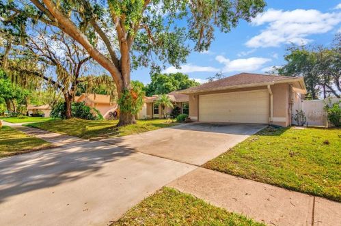 12328 Yellow Rose Cir, Riverview, FL 33569-4115