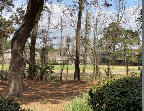 1713 Greystone Blvd, Mount Pleasant SC  29464-9579 exterior