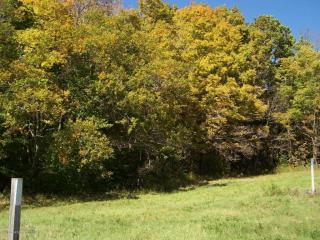 65 Clinton Dr, Factoryville, PA 18419-2607