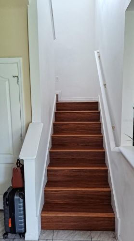 18816 Litzau Ln, Land O Lakes FL  34638-2641 exterior