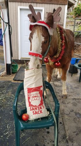 2435 Deland Dr, Alpine CA  91901-3192 exterior