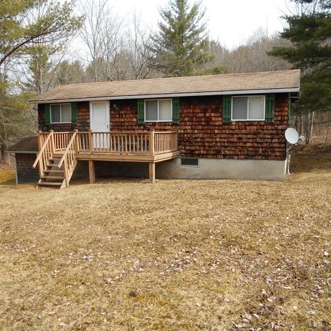 474 New Rd, West Harpersfield, NY 13786-8329