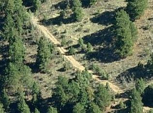 259 Silver Springs Rd, Bailey, CO 80421-2364