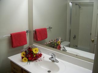 3222 Glendora Dr, San Mateo CA  94403-3701 exterior