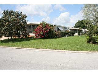 1101 Nassau Cir, Tavares, FL 32778-2527