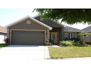 11143 Irish Moss Ave, Riverview, FL 33569-2223
