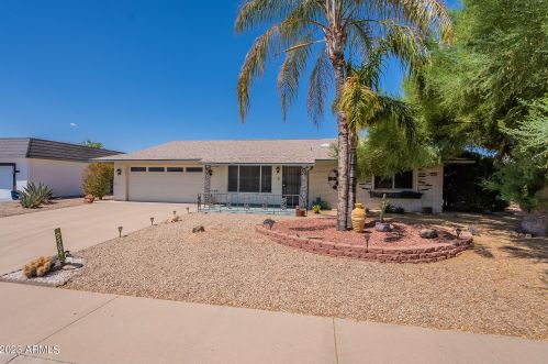 9564 Spanish Moss Ln, Sun City, AZ 85373-1742