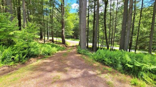 34 Mill Rd, Monticello, NY 12777-6507