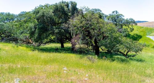 965 Los Alamos Rd, Santa Rosa CA 95409-3354 exterior