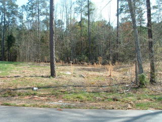 3031 Carrington Ln, Sanford, NC 27330-7768