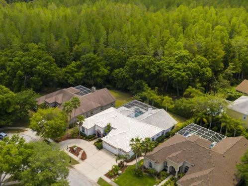 4186 Moreno Dr, Palm Harbor, FL 34685-3646