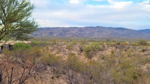 13811 Langtry Ln, Tucson, AZ 85747-9637