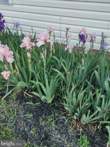 131 Baltusrol Dr, Charles Town WV  25414-4085 exterior