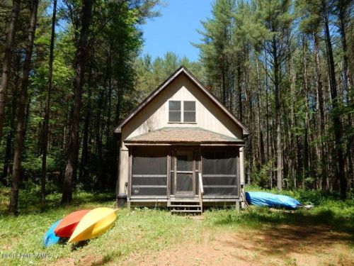 614 14th Rd, Minerva, NY 12851-1900