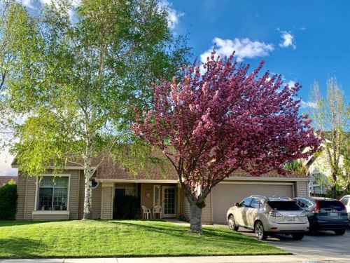 2359 Cheyenne Dr, Bishop, CA 93514-8013