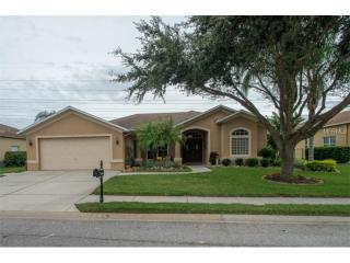 2324 Edelweiss Loop, New Port Richey, FL 34655-4946
