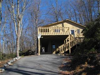 1118 Holiday Dr, Hendersonville NC  28739-7374 exterior