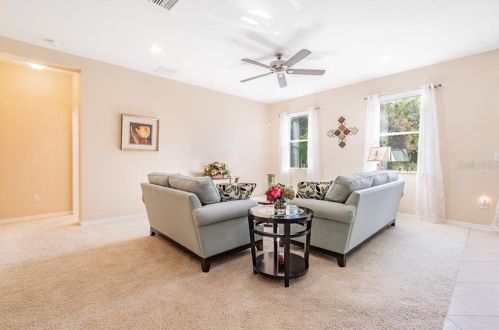 11156 Belle Hvn Dr, New Port Richey FL 34654-4491 exterior