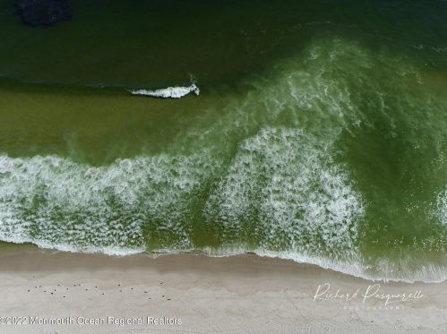 3006 Ocean Rd, Lavallette NJ  08735-1919 exterior