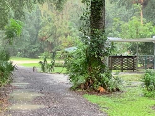 2690 Cr 416n, Lake Panasoffkee, FL 33538-3920
