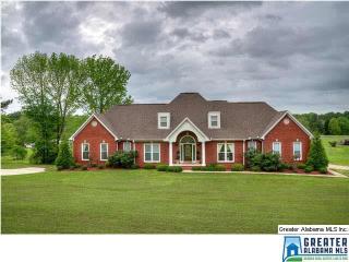 9328 County Line Rd, Dora, AL 35062-1516