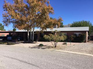 310 Lundy Ct, Sunizona, AZ 85625-4050