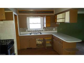 10709 Mountview Ave, Cleveland OH  44125-3132 exterior
