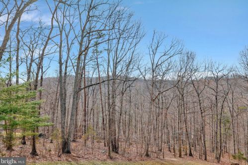 556 Grimes Golden Rd, Linden VA  22642-6313 exterior