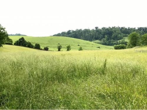 1910 Highway 75, Blountville, TN 37617-5830