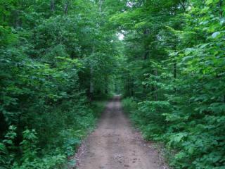 5009 Midway Ln, Blackwell, WI