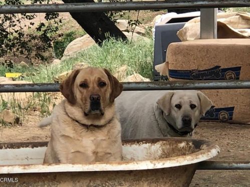 13001 Koenigstein Rd, Santa Paula CA  93060-9667 exterior