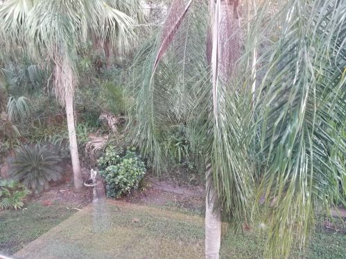 400 El Camino Dr, Winter Haven FL  33884-1697 exterior