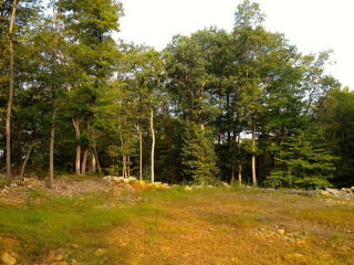 29 Conklin Rd, Warwick, NY 10990-3912