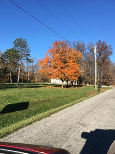 21990 Shirk Rd, Marysville, OH 43040-8200