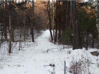 49 Smith Garrison Rd, Newmarket, NH 03857-1715