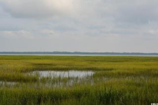 9 Flamingo Cv, Beaufort, SC 29907-1824